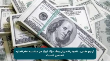 تراجع مفاجئ.. الدولار الأمريكي يفقد جزءًا كبيرًا من مكاسبه أمام الجنيه المصري السبت